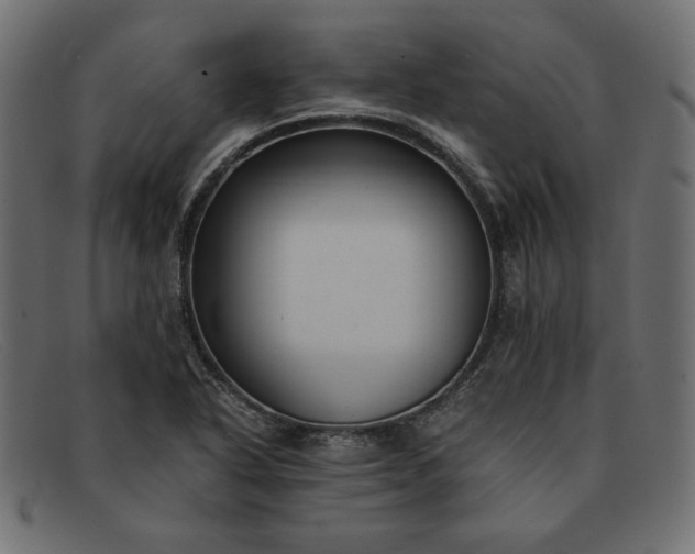 X0000091861318200709191108