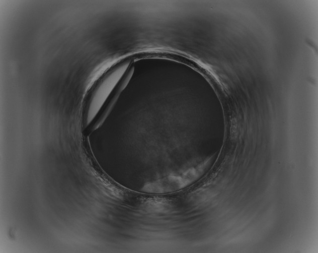 X0000091861319200709191108