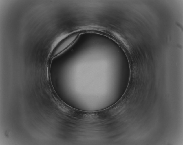 X0000091861320200709191108