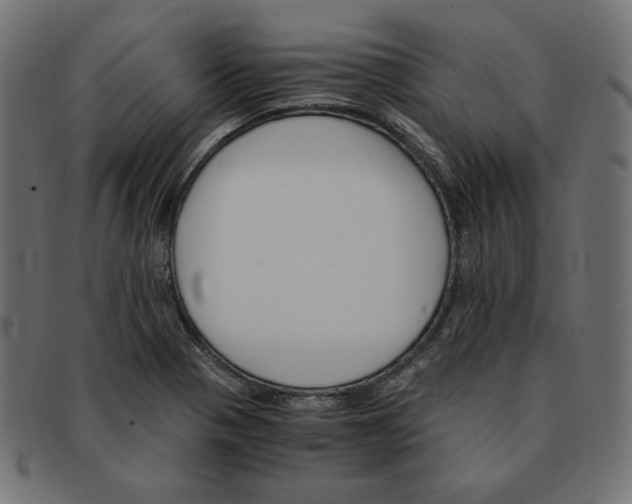 X0000091861321200709191108