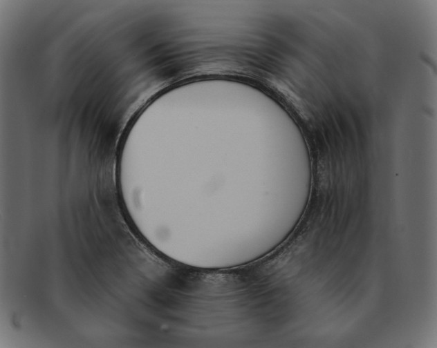 X0000091861322200709191108