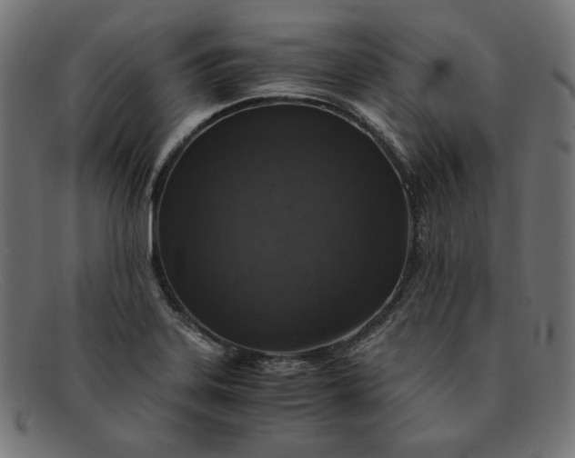 X0000091861323200709191108