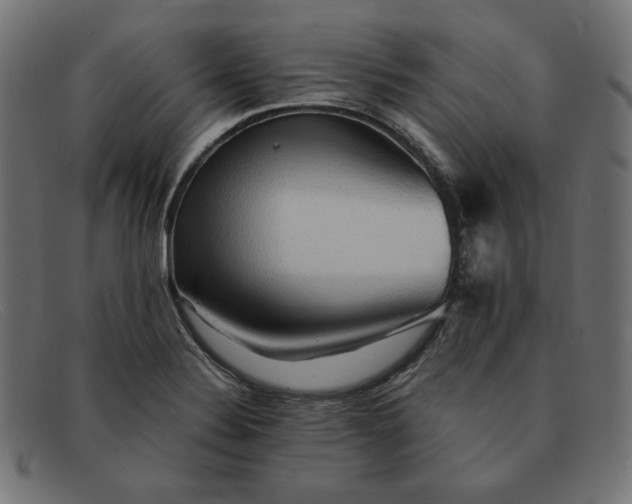 X0000091861324200709191108