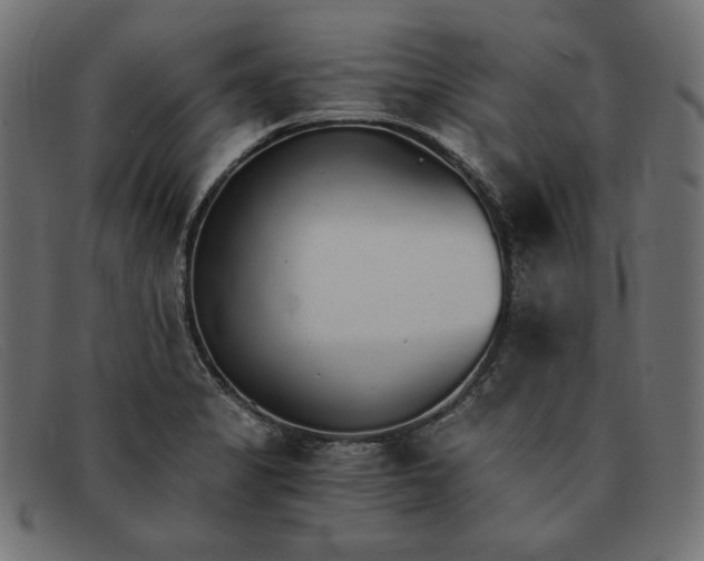 X0000091861325200709191108