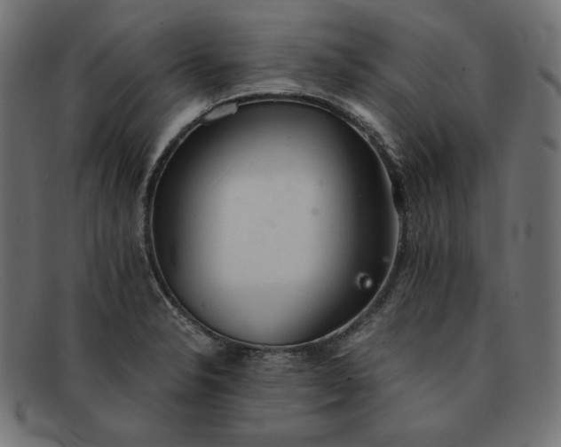 X0000091861326200709191109