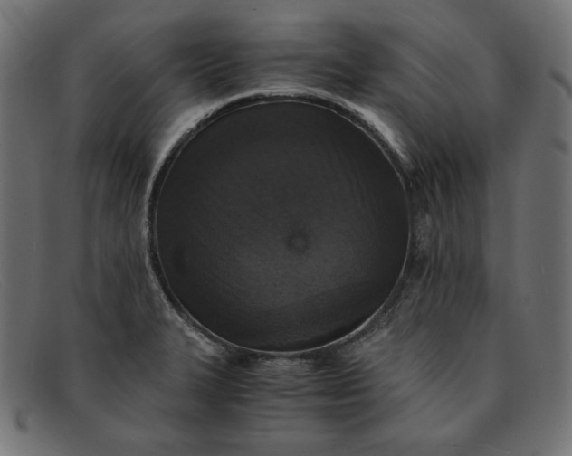 X0000091861327200709191109