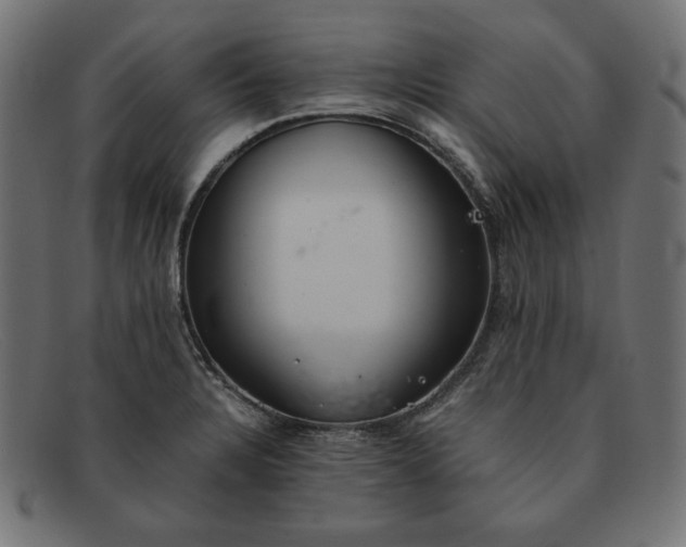 X0000091861328200709191109