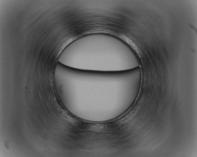 X0000091861329200709191109