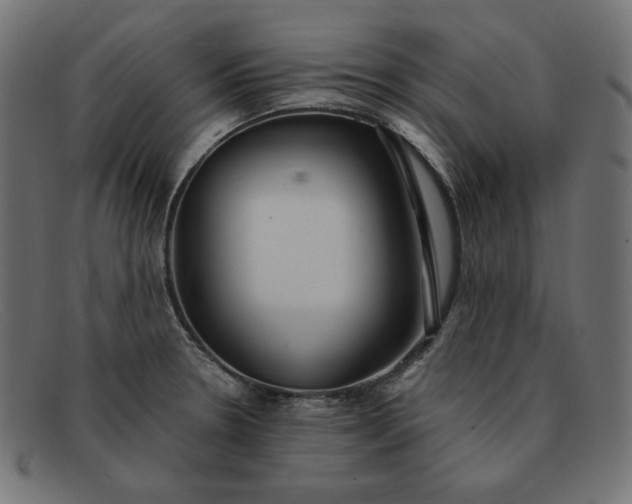 X0000091861330200709191109