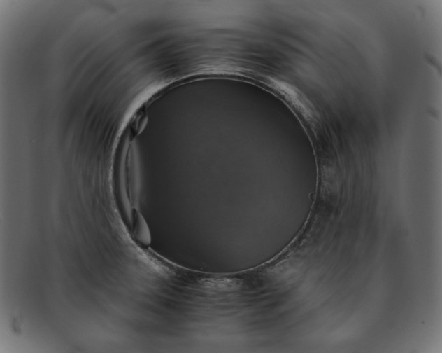 X0000091861331200709191109