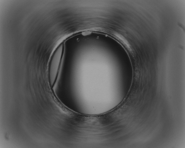 X0000091861332200709191109