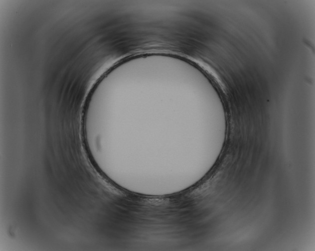 X0000091861333200709191109