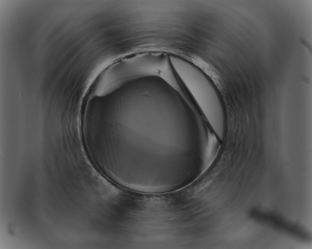 X0000091861334200709191109