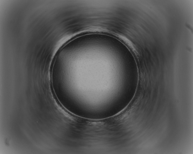 X0000091861335200709191109