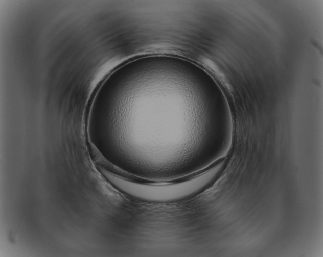 X0000091861336200709191109