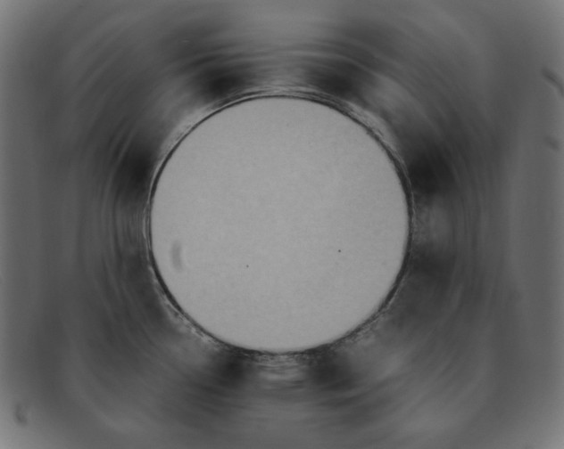 X0000091861338200709191109