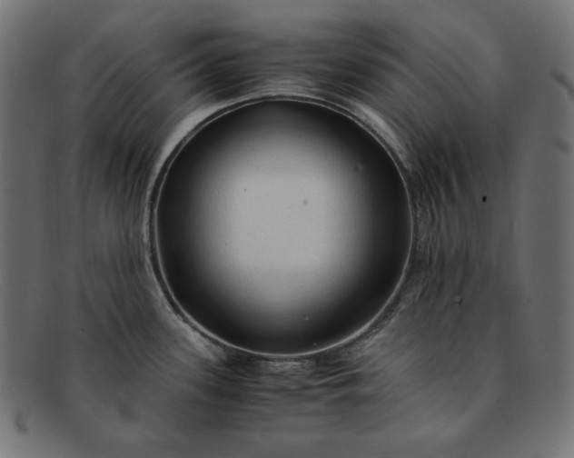 X0000091861339200709191109