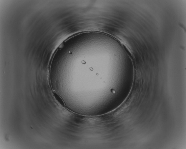 X0000091861340200709191109