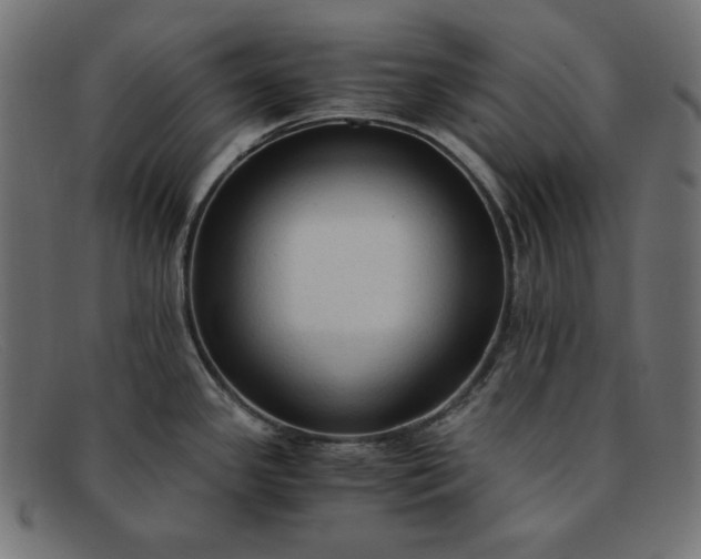 X0000091861341200709191109