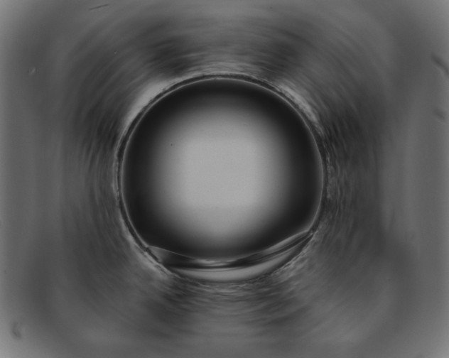 X0000091861342200709191109