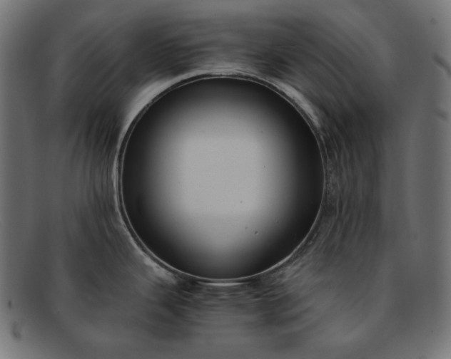 X0000091861343200709191109