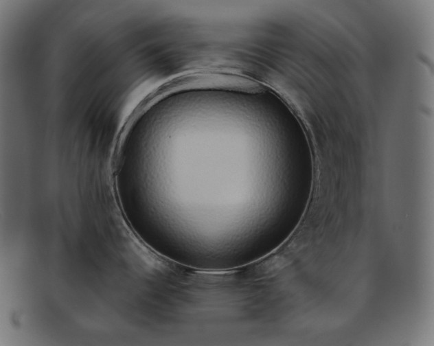 X0000091861344200709191109