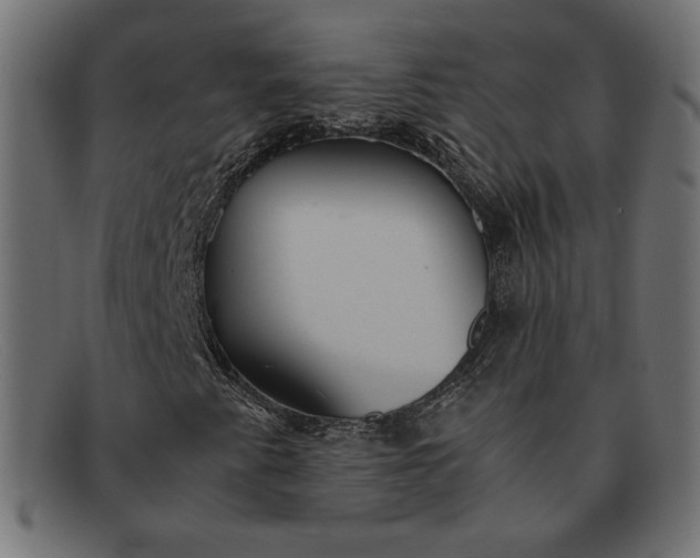 X0000091861345200709191108