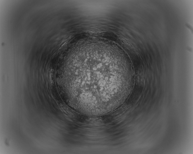 X0000091861346200709191108