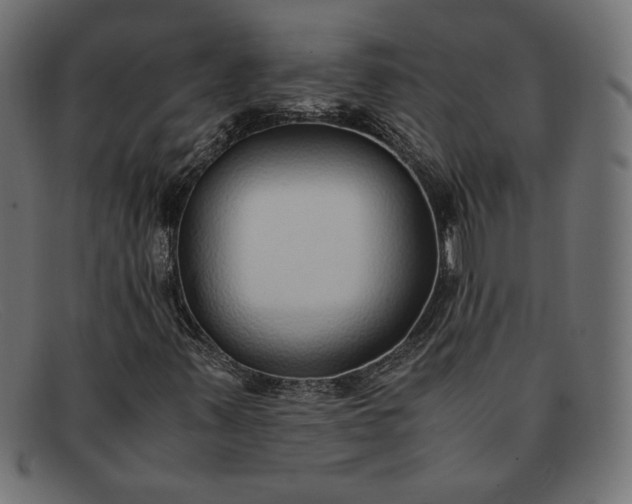 X0000091861347200709191108