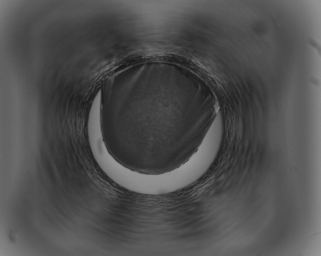 X0000091861348200709191108