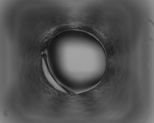 X0000091861349200709191108