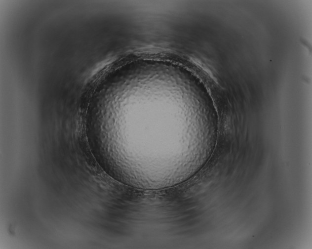 X0000091861350200709191108