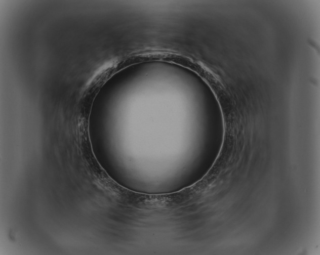 X0000091861351200709191108