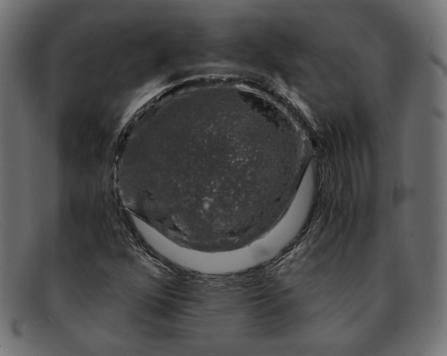 X0000091861352200709191108