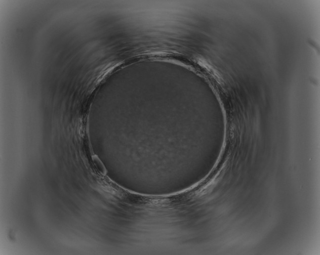 X0000091861353200709191108