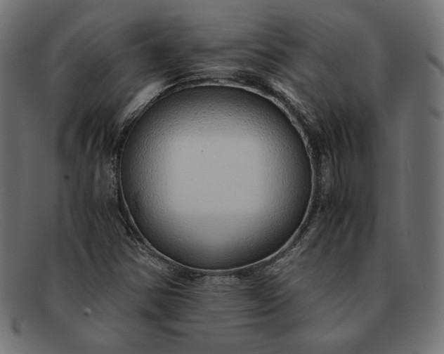 X0000091861354200709191108