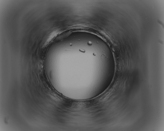 X0000091861355200709191108