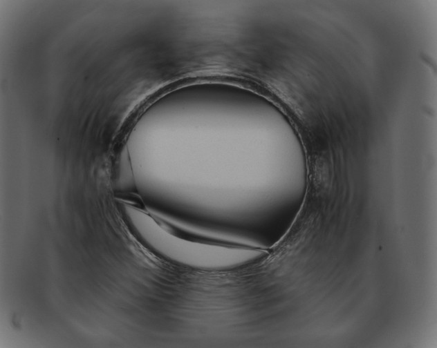 X0000091861356200709191108