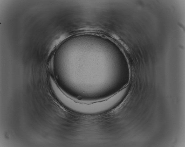 X0000091861357200709191108