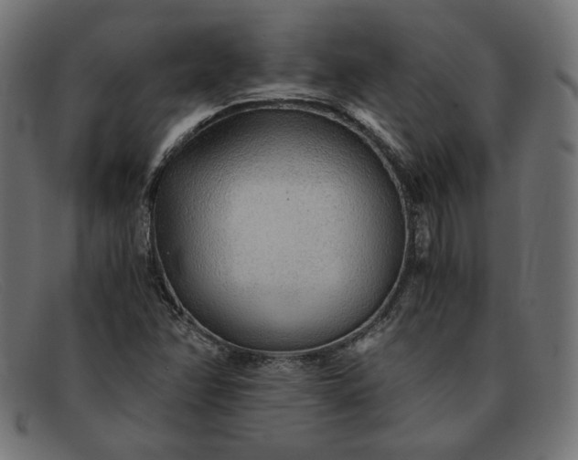 X0000091861358200709191108