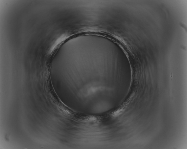 X0000091861359200709191108