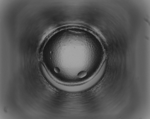 X0000091861360200709191108