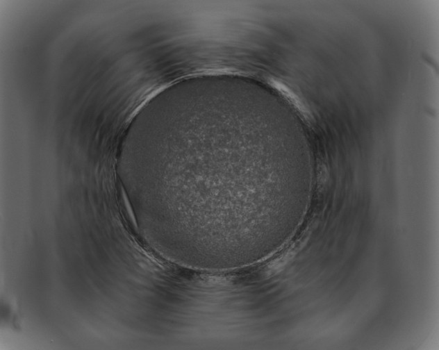 X0000091861361200709191108