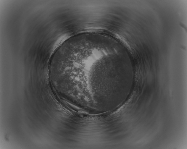 X0000091861362200709191108