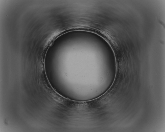 X0000091861363200709191108