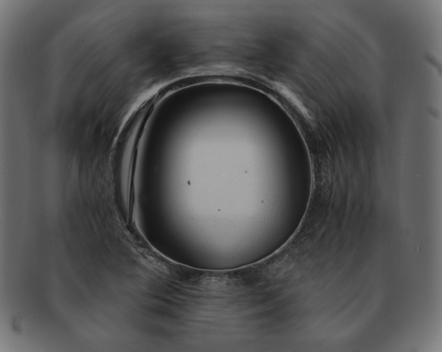 X0000091861364200709191108