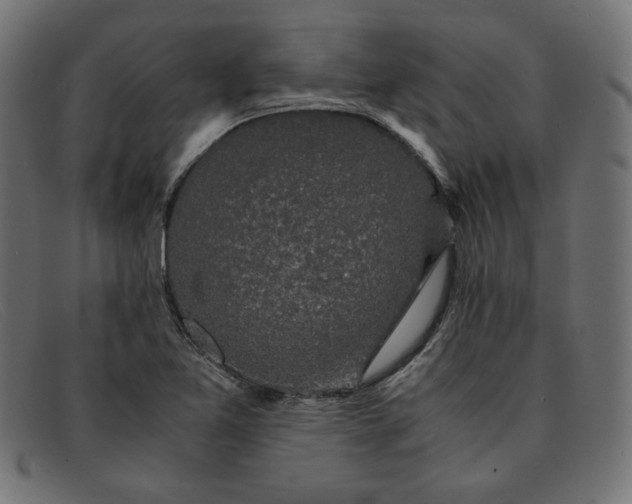 X0000091861365200709191108