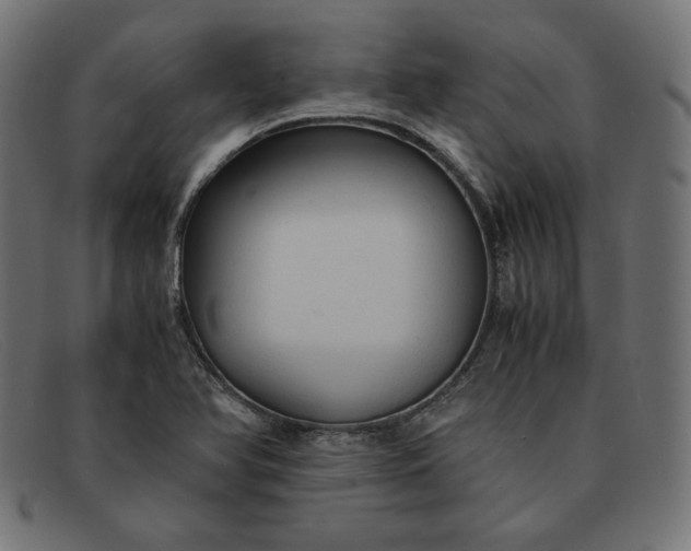 X0000091861366200709191108