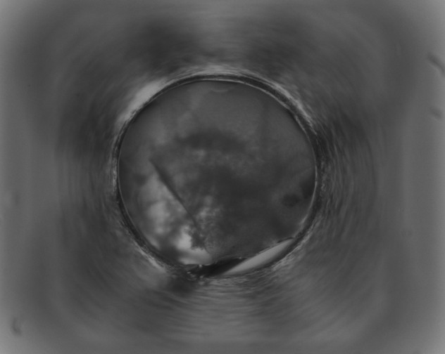 X0000091861367200709191108