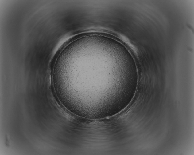 X0000091861368200709191108